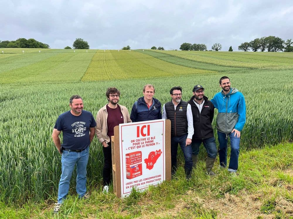 Visite sociétaire chez un producteur de blé pour la farine