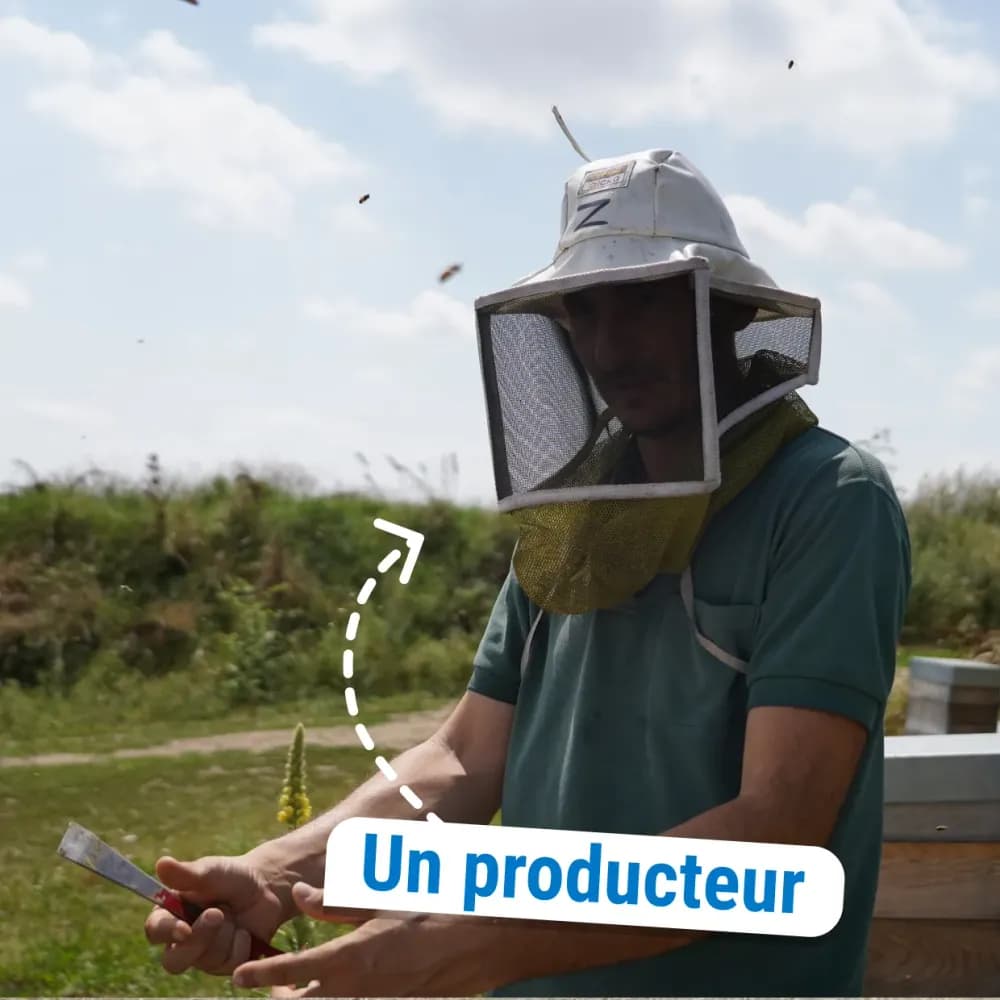 Producteurs de miel C'est qui le Patron ?!