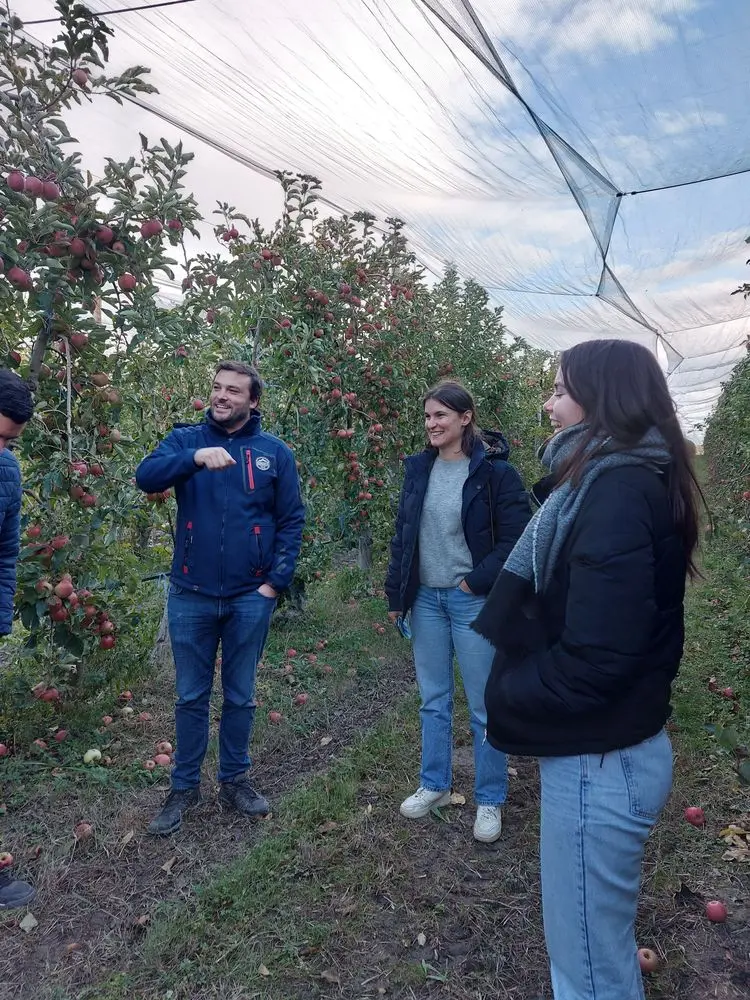Visite sociétaire chez un producteur de pommes