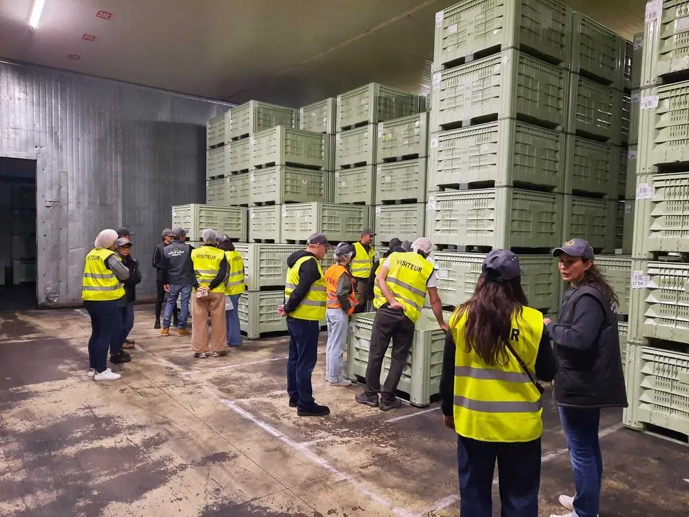 Visite sociétaire pommes - octobre 2026