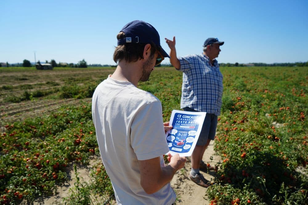 Visite sociétaire dans le champs du producteur de tomates