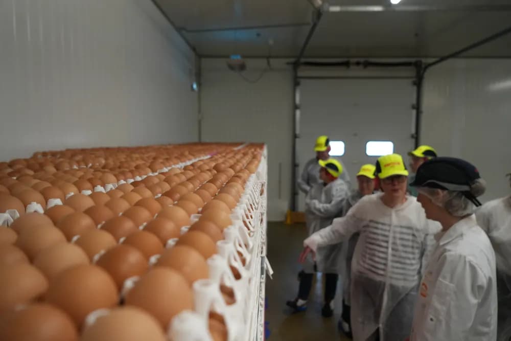 Visite sociétaire usine de conditionnement oeufs CQLP