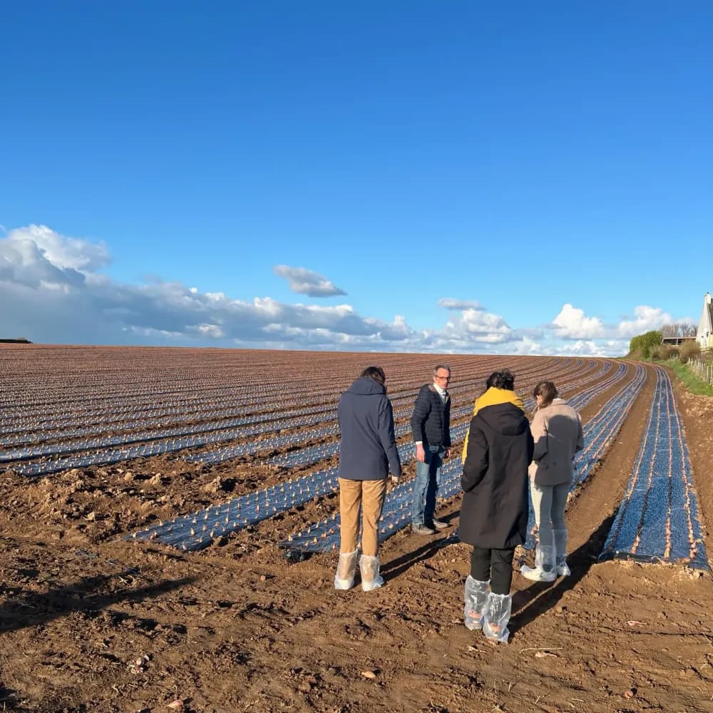 Visite sociétaire échalotes